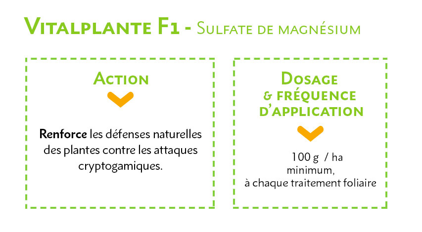 Vitalplante F1 - Sulfate de magnésium - Viticulture